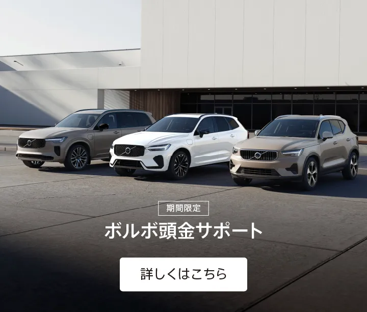 ホホ 追加分140個 ボルボ・カー 知多・刈谷